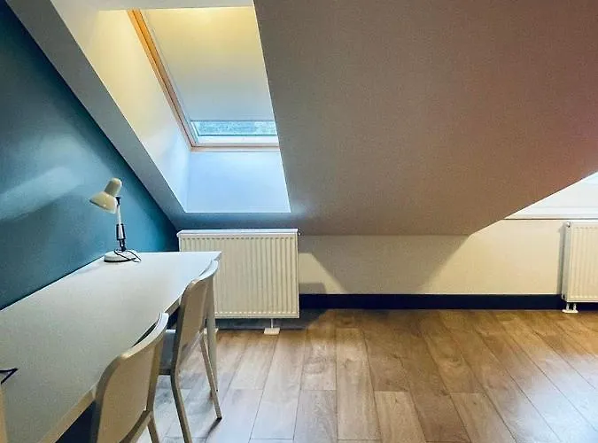 Sky 아파트 카우나스